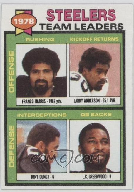 1978 Pittsburgh Steelers team Leaders