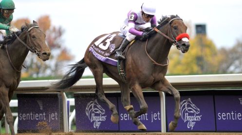 111115-Horseriding-Breeders-Cup-Mario-Gutierrez-Nyquist-PI-JE.vresize.1200.675.high.19