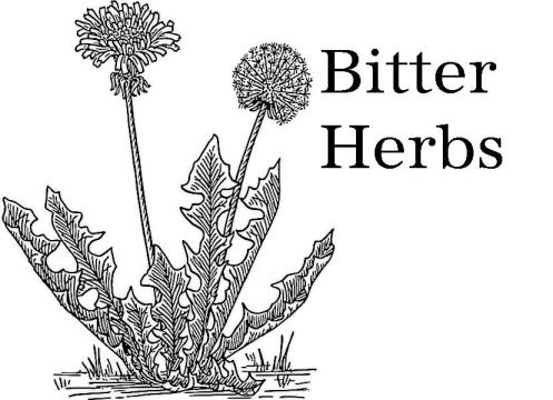 bitter-herbs