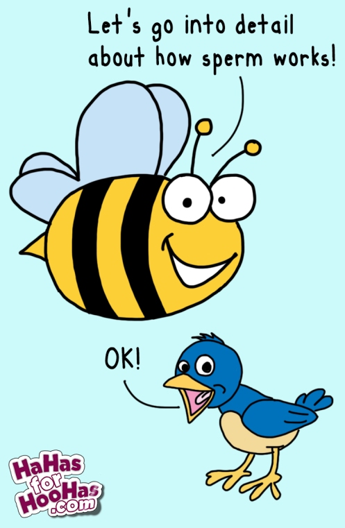 birds-bees-image